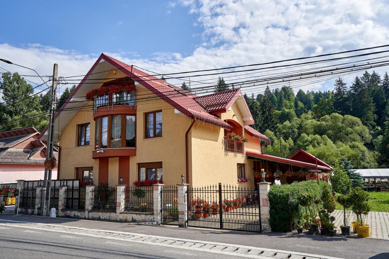 Casa Cu Flori Moisei Hotell Exteriör bild