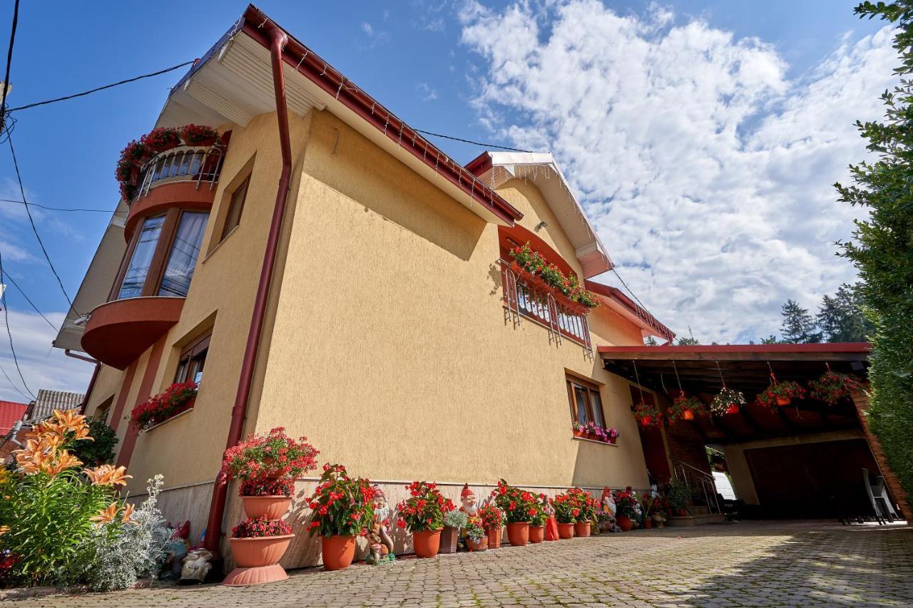 Casa Cu Flori Moisei Hotell Exteriör bild