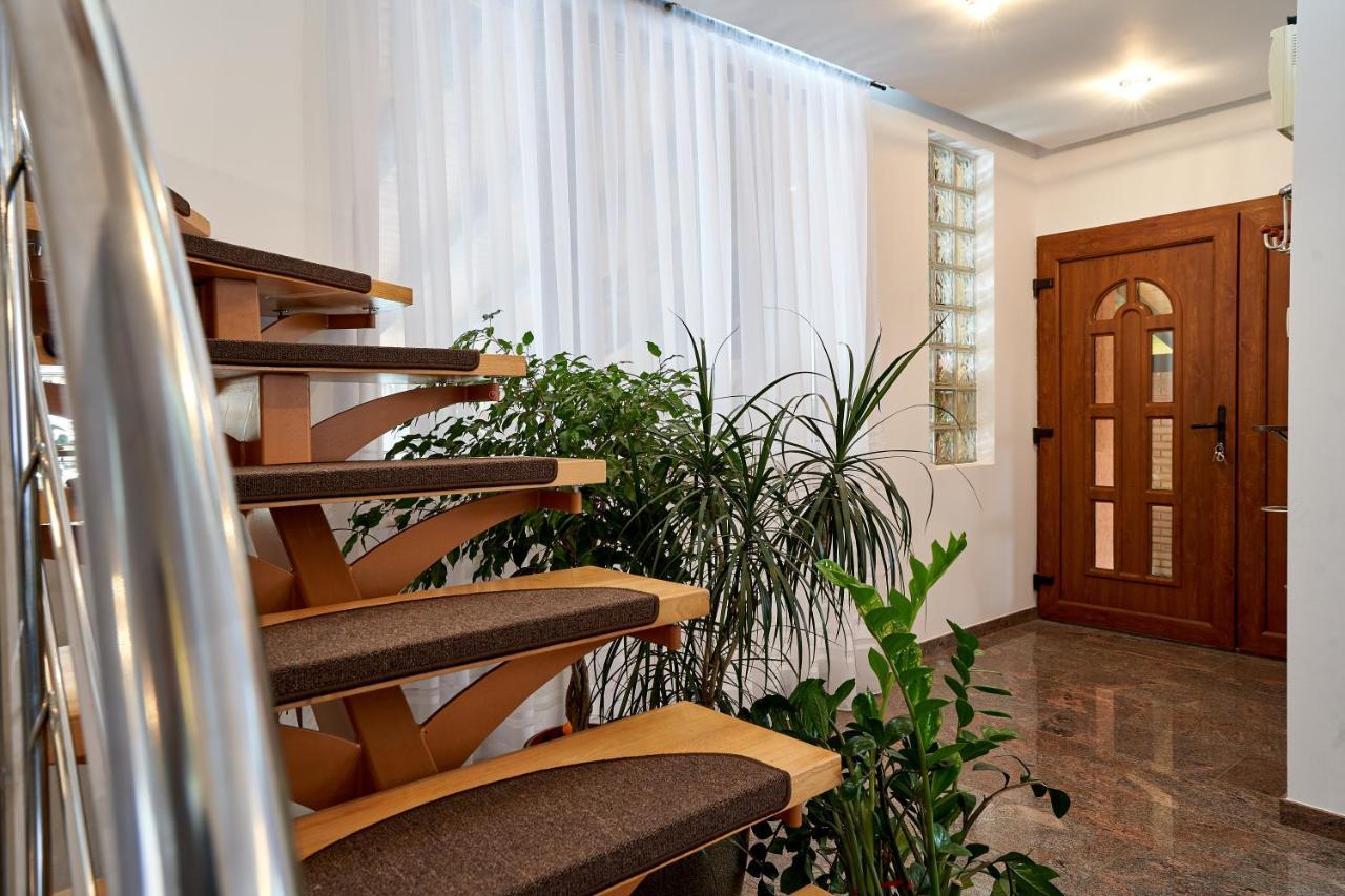 Casa Cu Flori Moisei Hotell Exteriör bild