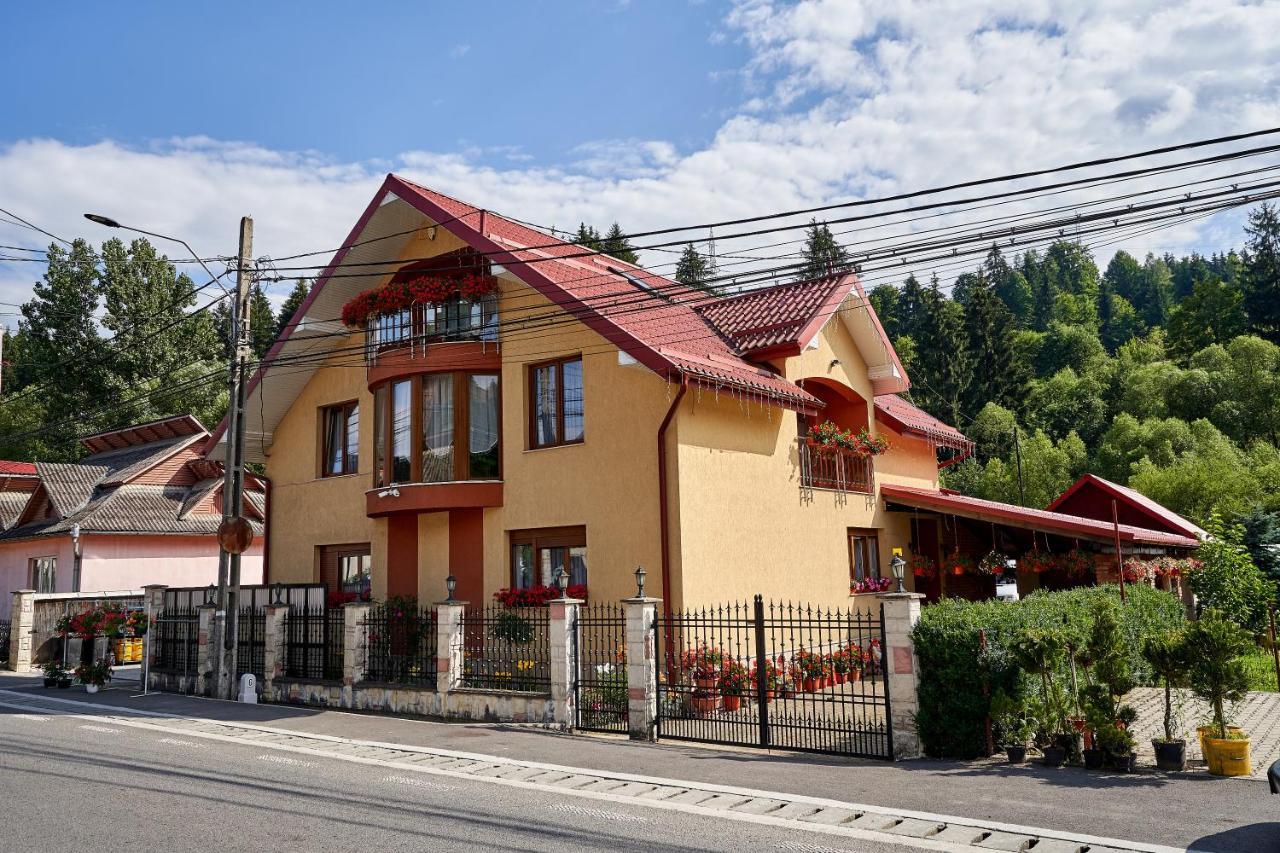 Casa Cu Flori Moisei Hotell Exteriör bild
